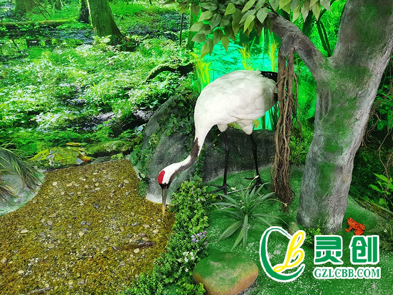 仿真丹頂鶴標本